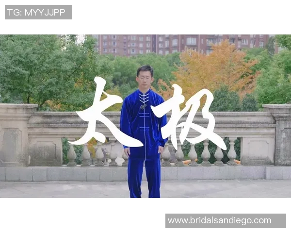 四十八式太极拳拳谱的精髓与实战应用探讨与心得分享