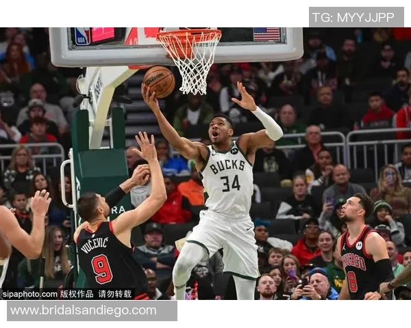 雄鹿客场击败火箭，字母哥砍下35分——开启雄鹿强势连胜之旅