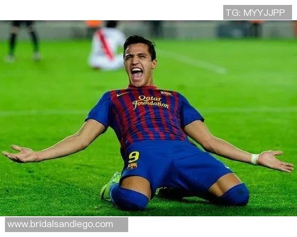 桑切斯接受专访:回顾足球生涯成功秘诀揭晓 桑切斯接受专访:回顾足球生涯成功秘诀揭晓