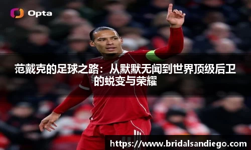 范戴克的足球之路：从默默无闻到世界顶级后卫的蜕变与荣耀