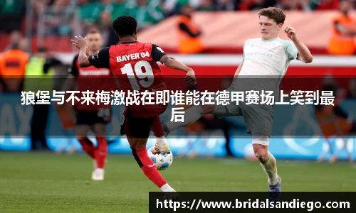 BB视讯网站